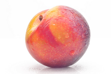 Similar image 1468012