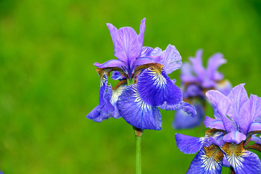 Similar image 1468017