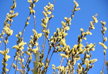 Similar image 1468024