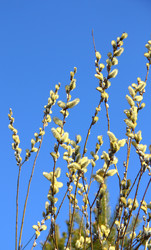 Similar image 1468033