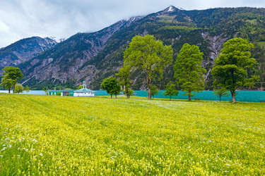 Similar image 1468038