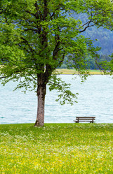 Similar image 1468039