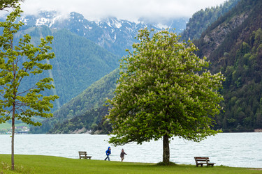 Similar image 1468041