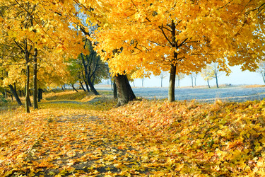 Similar image 1468044