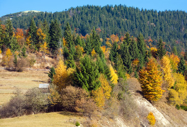 Similar image 1468049