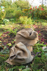 Similar image 1468057