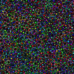 Similar image 1468074