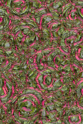 Similar image 1468079