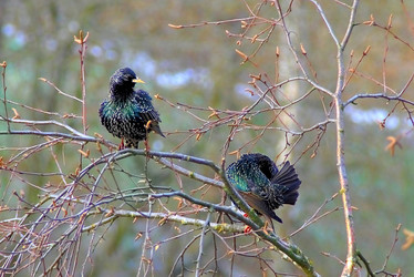 Similar image 1468115