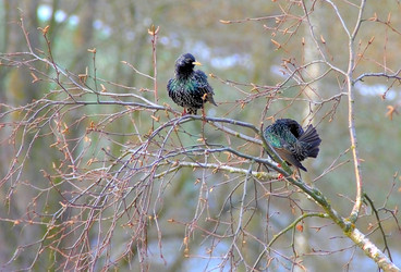 Similar image 1468127