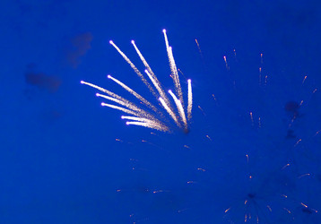 Similar image 1468139