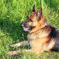 Similar image 1468143