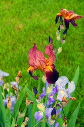 Similar image 1468153