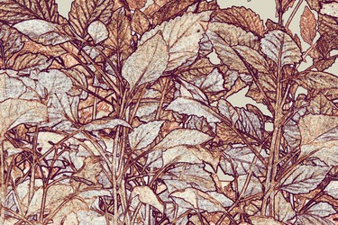 Similar image 1468179