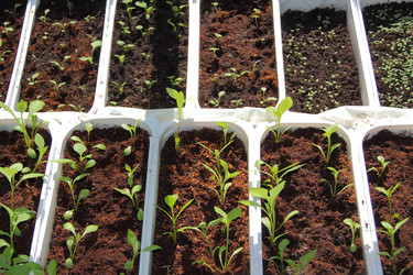 Similar image 1468200