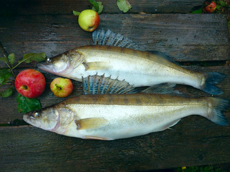 Similar image 1468248