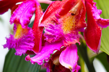 Similar image 1468251