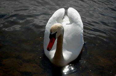 Similar image 1468270