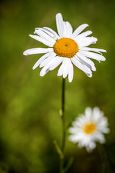 Similar image 1468288