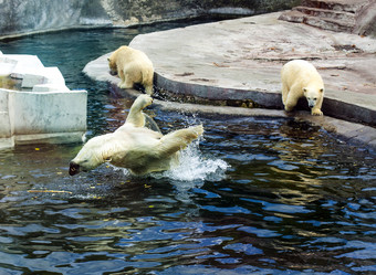 Similar image 1468293