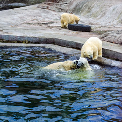 Similar image 1468294