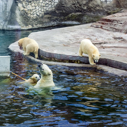 Similar image 1468295