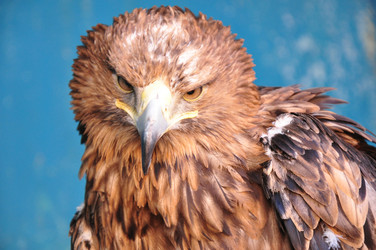 Similar image 1468361