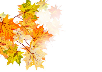 Similar image 1468387