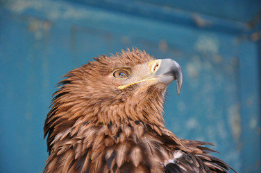 Similar image 1468389