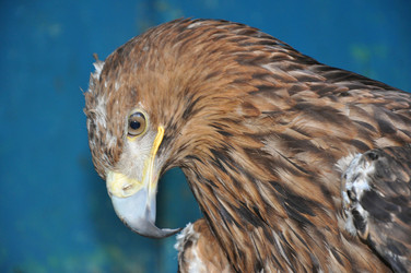 Similar image 1468391