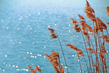 Similar image 1468436