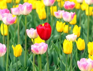 Similar image 1468501