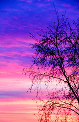 Similar image 1468504