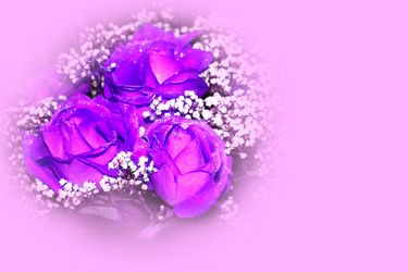 Similar image 1468513