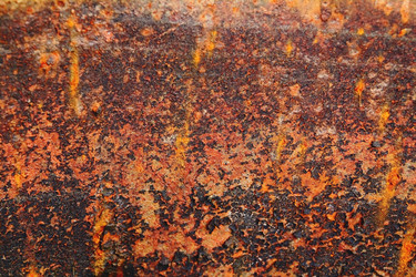 Similar image 1468520