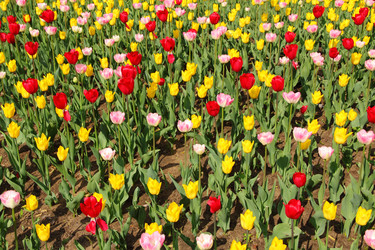 Similar image 1468533