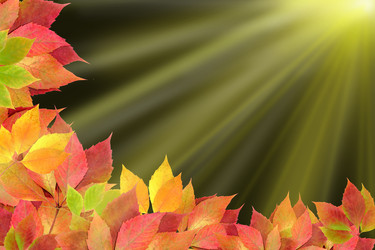 Similar image 1468555