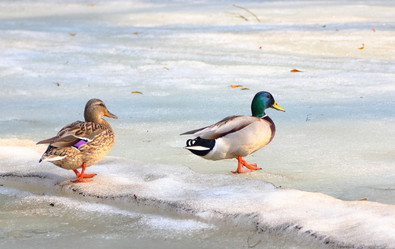 Similar image 1468576