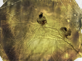 Similar image 1468580