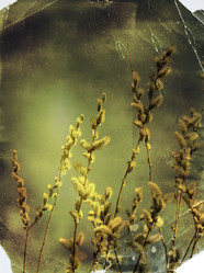 Similar image 1468589