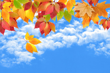 Similar image 1468620