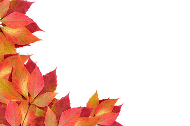 Similar image 1468628