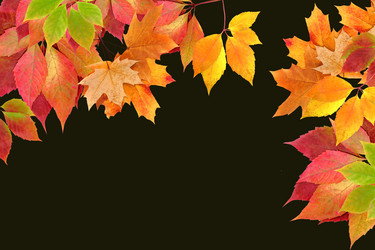 Similar image 1468630