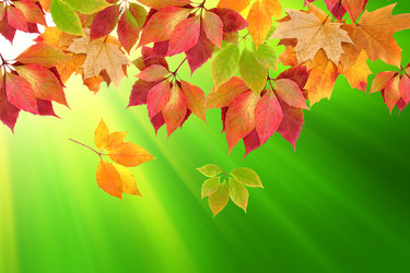 Similar image 1468632