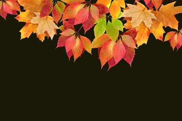 Similar image 1468649