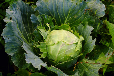 Similar image 1468668