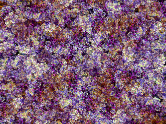 Similar image 1468737