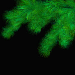 Similar image 1468792