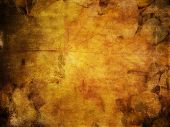 Similar image 1469011