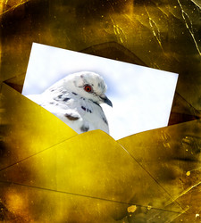 Similar image 1469177